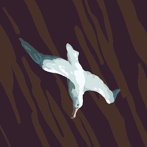 Meet your Posher, Louisa